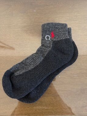 ✅ NWOT New w/o Tags POLO by RALPH LAUREN Classic Designer Socks Gray w/ Red Pony